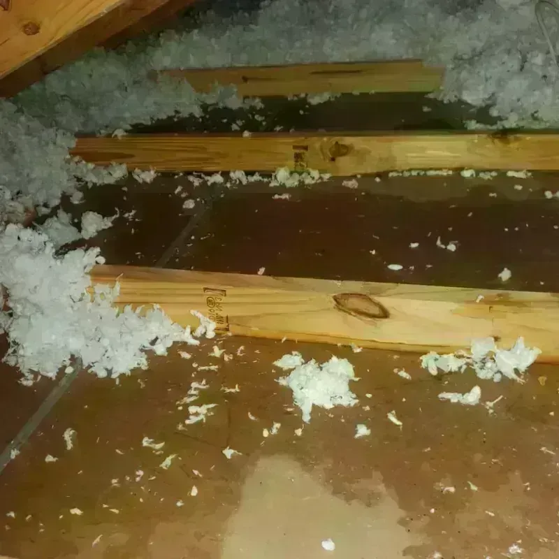 Attic Water Damage in Wallis, TX