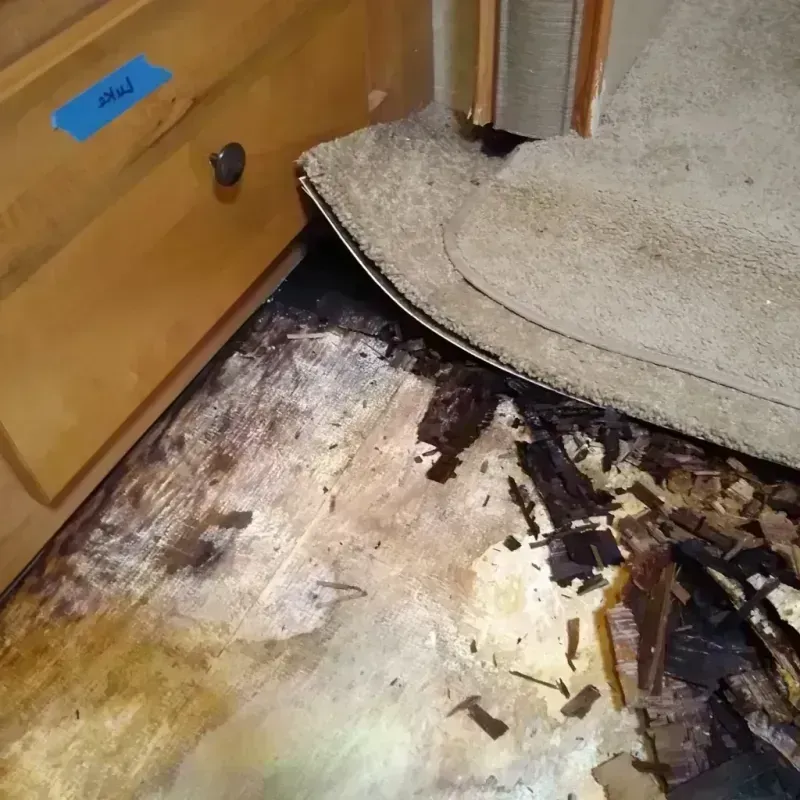 Wood Floor Water Damage in Wallis, TX